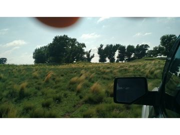 VENDO EXCELENTE CAMPO DE 84 HECTREAS EN ROLÓN - PROVINCIA DE LA PAMPA