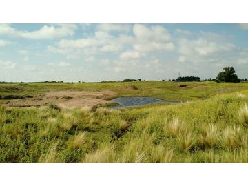VENDO EXCELENTE CAMPO DE 84 HECTREAS EN ROLÓN - PROVINCIA DE LA PAMPA