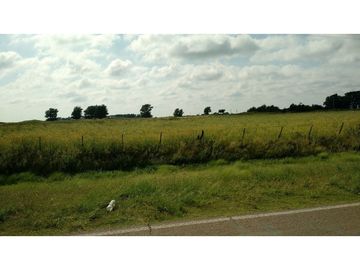 VENDO EXCELENTE CAMPO DE 84 HECTREAS EN ROLÓN - PROVINCIA DE LA PAMPA