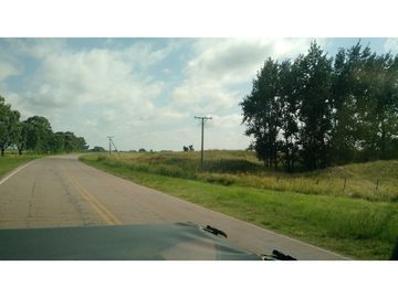 VENDO EXCELENTE CAMPO DE 84 HECTREAS EN ROLÓN - PROVINCIA DE LA PAMPA