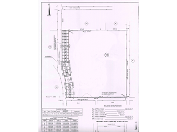 VENDO EXCELENTE CAMPO DE 84 HECTREAS EN ROLÓN - PROVINCIA DE LA PAMPA