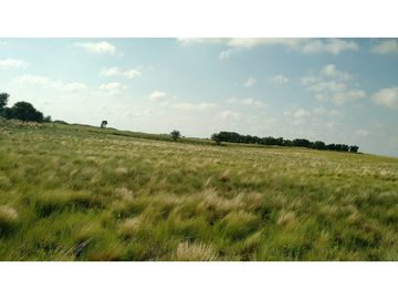 VENDO EXCELENTE CAMPO DE 84 HECTREAS EN ROLÓN - PROVINCIA DE LA PAMPA