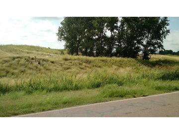 VENDO EXCELENTE CAMPO DE 84 HECTREAS EN ROLÓN - PROVINCIA DE LA PAMPA