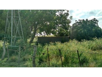 VENDO EXCELENTE CAMPO DE 84 HECTREAS EN ROLÓN - PROVINCIA DE LA PAMPA