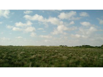 VENDO EXCELENTE CAMPO DE 84 HECTREAS EN ROLÓN - PROVINCIA DE LA PAMPA