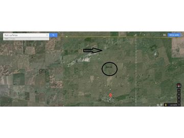 VENDO EXCELENTE CAMPO DE 84 HECTREAS EN ROLÓN - PROVINCIA DE LA PAMPA