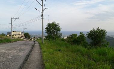 Affordable 150 Sqm Lot for Sale in Bulacao, Talisay Cebu