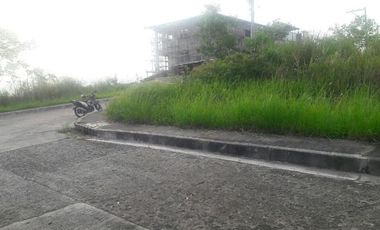 Affordable 150 Sqm Lot for Sale in Bulacao, Talisay Cebu