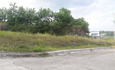 Affordable 150 Sqm Lot for Sale in Bulacao, Talisay Cebu
