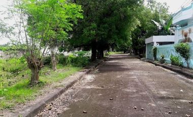 174 Sqm Residential Lot for Sale in Basak Lapu-Lapu Cebu