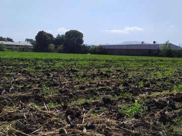 Vendo terreno agrícola de riego de 2.1 Has., en Puente de Ixtla, Morelos