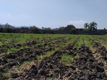 Vendo terreno agrícola de riego de 2.1 Has., en Puente de Ixtla, Morelos