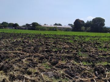 Vendo terreno agrícola de riego de 2.1 Has., en Puente de Ixtla, Morelos