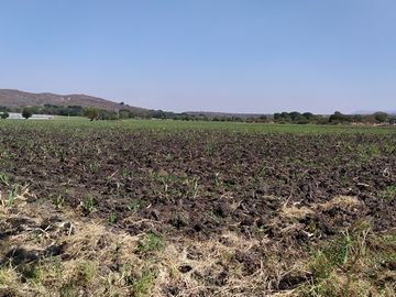 Vendo terreno agrícola de riego de 2.1 Has., en Puente de Ixtla, Morelos