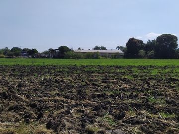 Vendo terreno agrícola de riego de 2.1 Has., en Puente de Ixtla, Morelos