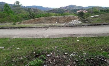 180 Sqm Overlooking Lot for Sale in Greenwoods near Talamban Cebu City with Mountain View