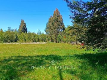 Terreno con Galpones, Casa y Bodegas Riñihue ¡Gran oportunidad de inversión !