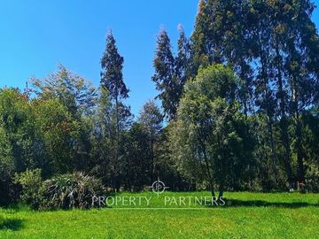 Terreno con Galpones, Casa y Bodegas Riñihue ¡Gran oportunidad de inversión !