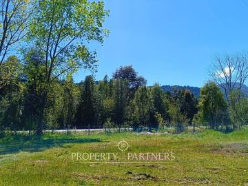 Terreno con Galpones, Casa y Bodegas Riñihue ¡Gran oportunidad de inversión !