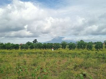 Dijual Tanah Murah Barat Kota Klaten Lokasi Sangat Strategis