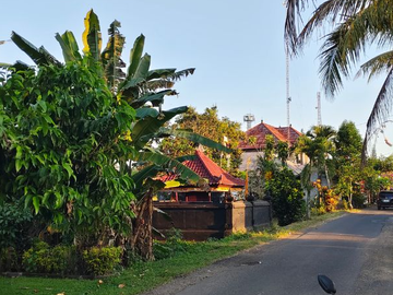TANAH STRATEGIS DEKAT BYPASS DI MEGATI TABANAN BADUNG