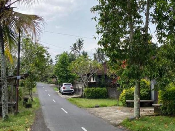 TANAH STRATEGIS DEKAT BYPASS DI MEGATI TABANAN BADUNG