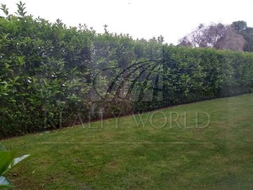 Casas Venta Lerma  15-CV-7038