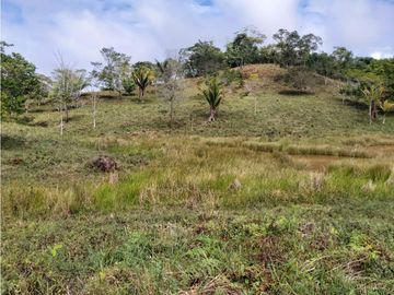 Finca de 30 Hectareas a la venta en Capira