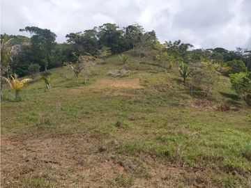 Finca de 30 Hectareas a la venta en Capira