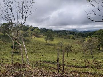 Finca de 30 Hectareas a la venta en Capira