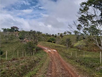 Finca de 30 Hectareas a la venta en Capira
