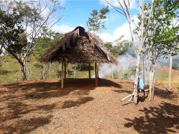 Finca de 30 Hectareas a la venta en Capira