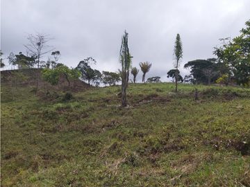 Finca de 30 Hectareas a la venta en Capira