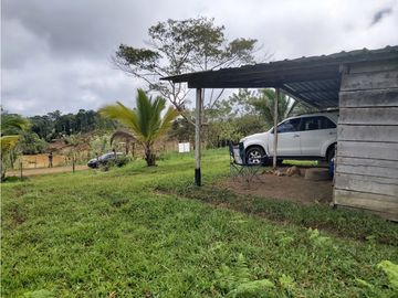 Finca de 30 Hectareas a la venta en Capira