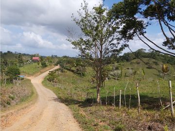 Finca de 30 Hectareas a la venta en Capira