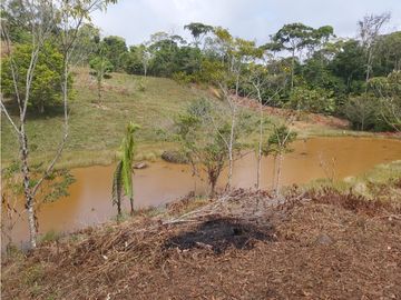 Finca de 30 Hectareas a la venta en Capira