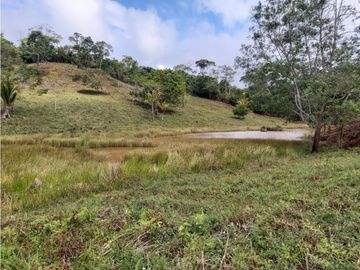 Finca de 30 Hectareas a la venta en Capira