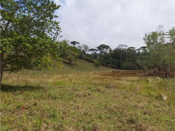 Finca de 30 Hectareas a la venta en Capira