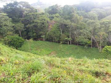 Finca de 30 Hectareas a la venta en Capira