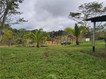 Finca de 30 Hectareas a la venta en Capira