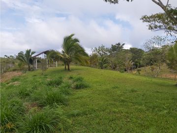 Finca de 30 Hectareas a la venta en Capira