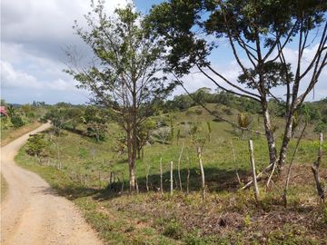 Finca de 30 Hectareas a la venta en Capira