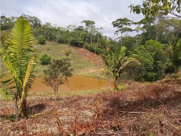 Finca de 30 Hectareas a la venta en Capira