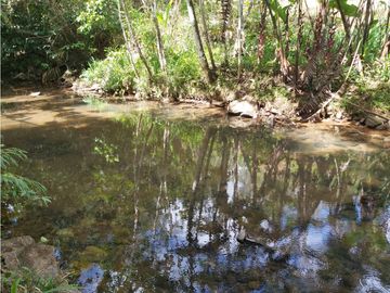 Finca de 30 Hectareas a la venta en Capira