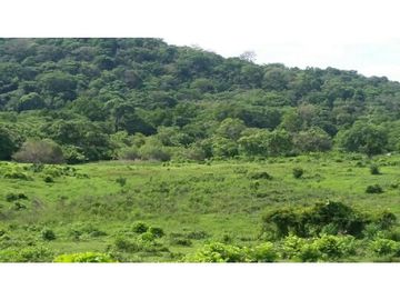 Finca en Venta / Chame para Ganadería o Desarrollo