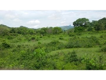 Finca en Venta / Chame para Ganadería o Desarrollo
