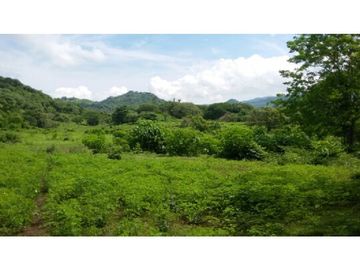 Finca en Venta / Chame para Ganadería o Desarrollo