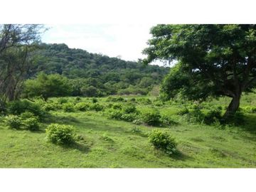 Finca en Venta / Chame para Ganadería o Desarrollo