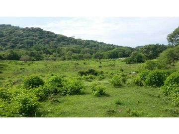 Finca en Venta / Chame para Ganadería o Desarrollo
