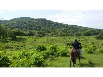 Finca en Venta / Chame para Ganadería o Desarrollo